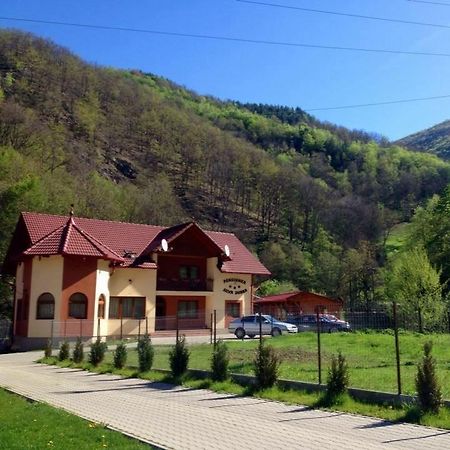 Pensiunea Silva Dobra Şugag Exterior foto