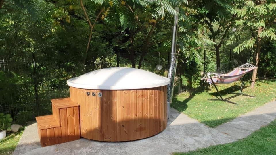Pensiunea Silva Dobra Şugag Exterior foto