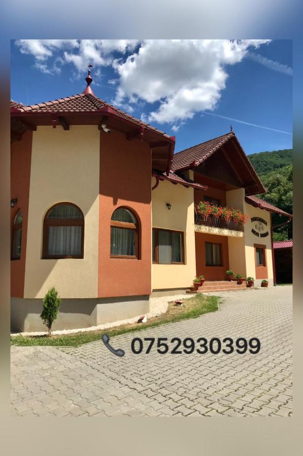 Pensiunea Silva Dobra Şugag Exterior foto